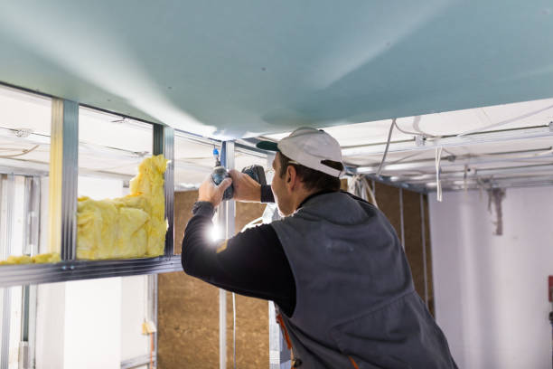 Best Insulation for New Construction  in Hidden Valley, IN