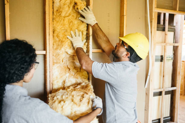 Best Residential Insulation Services  in Hidden Valley, IN