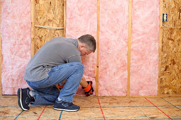 Best Cellulose Insulation  in Hidden Valley, IN